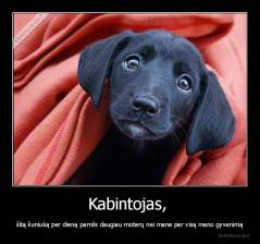 Kabintojas,  - šitą šuniuką per dieną pamils daugiau moterų nei mane per visą mano gyvenimą