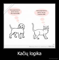 Kačių logika - 