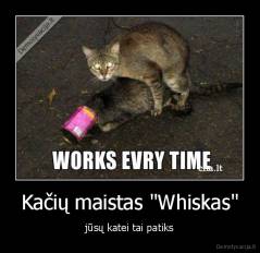 Kačių maistas "Whiskas" - jūsų katei tai patiks