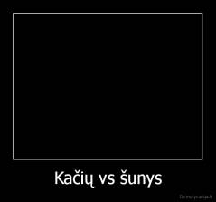 Kačių vs šunys - 