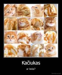 Kačiukas - ar ledai?