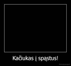 Kačiukas į spąstus! - 