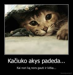 Kačiuko akys padeda... - Kai nori ką nors gauti ir kitka...