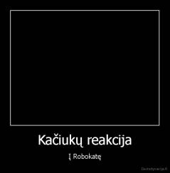 Kačiukų reakcija - Į Robokatę