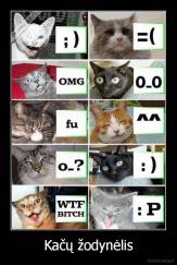 Kačų žodynėlis - 