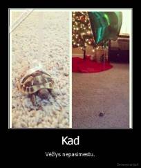 Kad - Vėžlys nepasimestu.