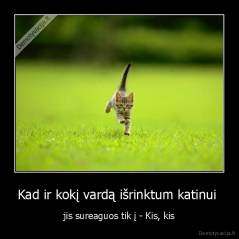 Kad ir kokį vardą išrinktum katinui  - jis sureaguos tik į - Kis, kis