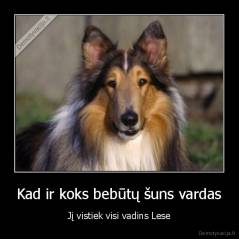Kad ir koks bebūtų šuns vardas - Jį vistiek visi vadins Lese