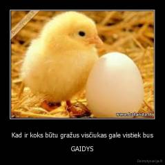 Kad ir koks būtu gražus visčiukas gale vistiek bus - GAIDYS