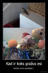 Kad ir koks gražus esi - Kartais norisi pasislėpti...