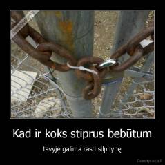 Kad ir koks stiprus bebūtum - tavyje galima rasti silpnybę