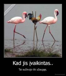 Kad jis įvaikintas.. - Tai sužinojo tik užaugęs.