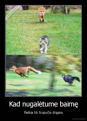 Kad nugalėtume baimę - Reikia tik trupučio drąsos