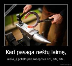 Kad pasaga neštų laimę, - reikia ją prikalti prie kanopos ir arti, arti, arti..