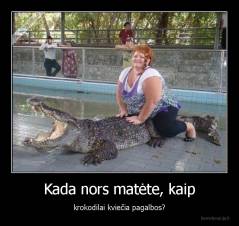 Kada nors matėte, kaip - krokodilai kviečia pagalbos?