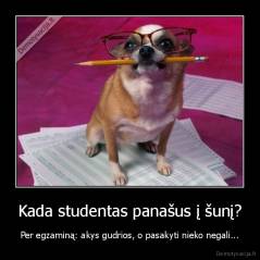 Kada studentas panašus į šunį? - Per egzaminą: akys gudrios, o pasakyti nieko negali...