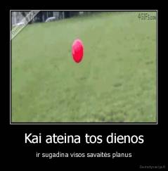 Kai ateina tos dienos - ir sugadina visos savaitės planus