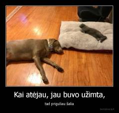 Kai atėjau, jau buvo užimta, - tad priguliau šalia