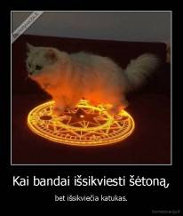 Kai bandai išsikviesti šėtoną, - bet išsikviečia katukas.