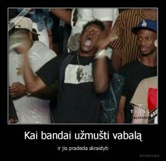 Kai bandai užmušti vabalą - ir jis pradeda skraidyti