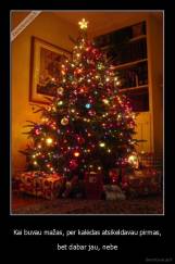 Kai buvau mažas, per kalėdas atsikeldavau pirmas, - bet dabar jau, nebe