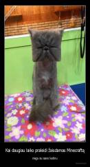 Kai daugiau laiko praleidi žaisdamas Minecraftą - negu su savo katinu