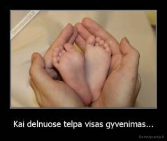 Kai delnuose telpa visas gyvenimas... - 