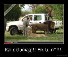 Kai didumąą!!! Eik tu n*!!!! - 