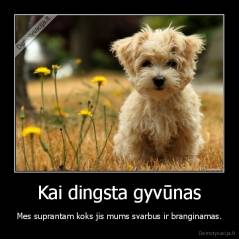 Kai dingsta gyvūnas - Mes suprantam koks jis mums svarbus ir branginamas.