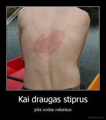 Kai draugas stiprus - joks uodas nebaisus