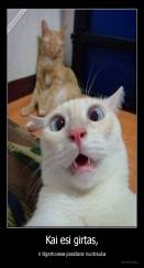 Kai esi girtas, - ir išgertuvėse pasidarai nuotrauka