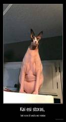 Kai esi storas,  - bet nors iš veido esi mielas