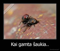 Kai gamta šaukia.. - 