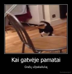 Kai gatvėje pamatai - Gražų užpakaliuką