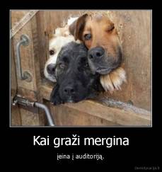 Kai graži mergina - įeina į auditoriją.