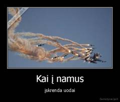 Kai į namus - įskrenda uodai