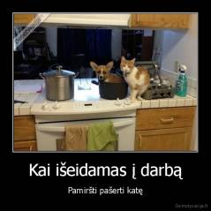 Kai išeidamas į darbą - Pamiršti pašerti katę