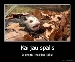 Kai jau spalis - Ir greitai prasidės koliai