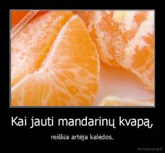 Kai jauti mandarinų kvapą, - reiškia artėja kalėdos.