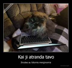 Kai ji atranda tavo - žinutes su kitomis merginomis