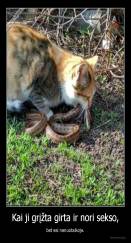 Kai ji grįžta girta ir nori sekso, - bet esi nenuotaikoje.