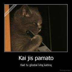 Kai jis pamato - Kad tu glostai kitą katiną