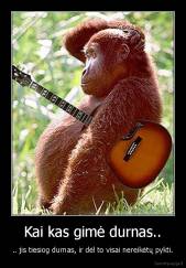 Kai kas gimė durnas.. - .. jis tiesiog durnas, ir dėl to visai nereikėtų pykti.