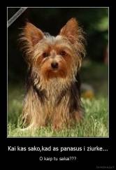 Kai kas sako,kad as panasus i ziurke... - O kaip tu sakai???