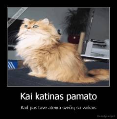 Kai katinas pamato - Kad pas tave ateina svečių su vaikais