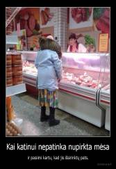 Kai katinui nepatinka nupirkta mėsa - ir pasiimi kartu, kad jis išsirinktų pats.