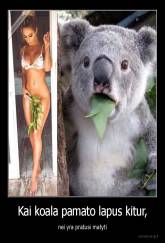 Kai koala pamato lapus kitur, - nei yra pratusi matyti