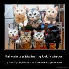 Kai kurie taip įsigilina į jų kiekį ir pinigus, - jog pamiršta, kad jiems reikia dar ir nieko nekainuojančios meilės.