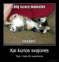 Kai kurios svajonės - Taip ir lieka tik svajonėmis