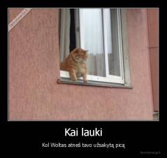 Kai lauki - Kol Woltas atneš tavo užsakytą picą